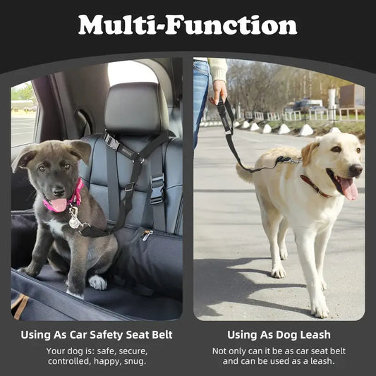 Correa Leash Para Mascotas Pro Outdoor / Seguridad al conducir tu vehiculo