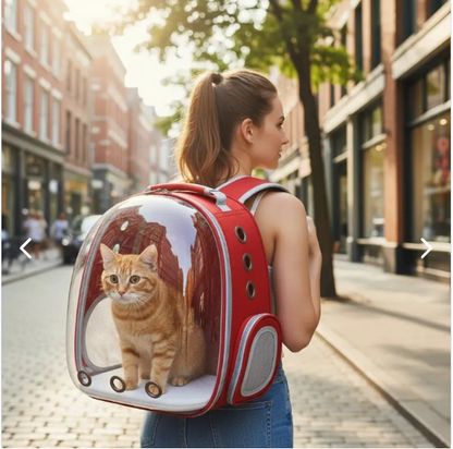 Mochila Transportador Mascotas Gris